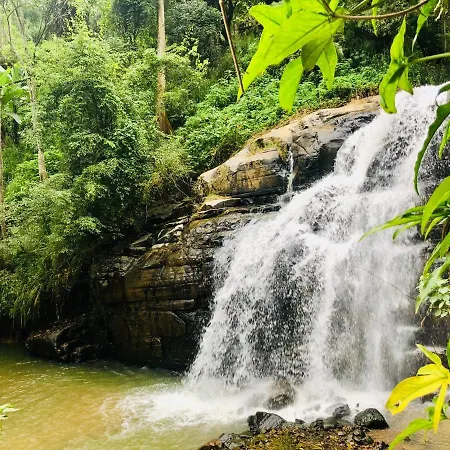 River Splendour Home Stay-2